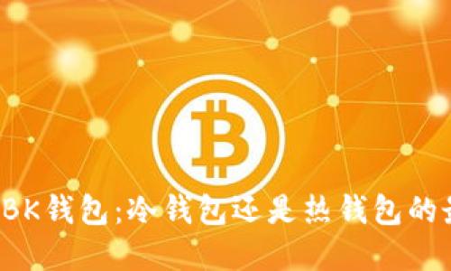 深入探讨BK钱包:冷钱包还是热钱包的最佳选择?
