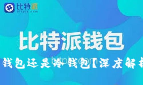 信任钱包：热钱包还是冷钱包？深度解析与选择指南