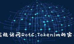 如何高效访问DotC：Tokenim的实用指南