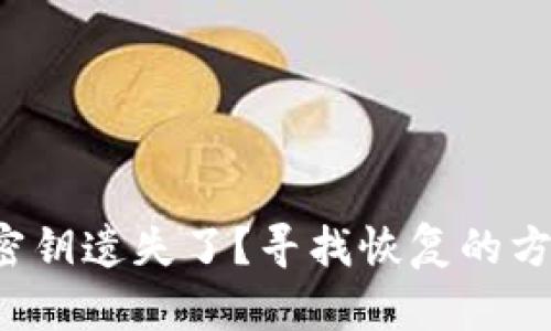 数字货币密钥遗失了？寻找恢复的方法与建议！