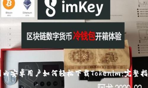 国内安卓用户如何轻松下载Tokenim:完整指南