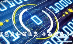 丢失冷钱包后如何恢复：全面指南与实用技巧
