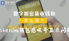 解决Tokentokenim钱包感叹号显示问题的实用指南